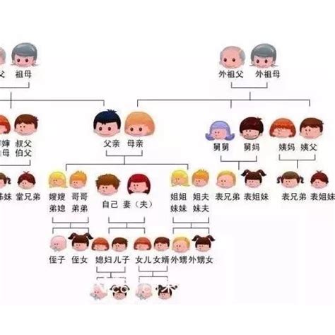 家庭關係分析|親屬圖範本：可視化家庭關係